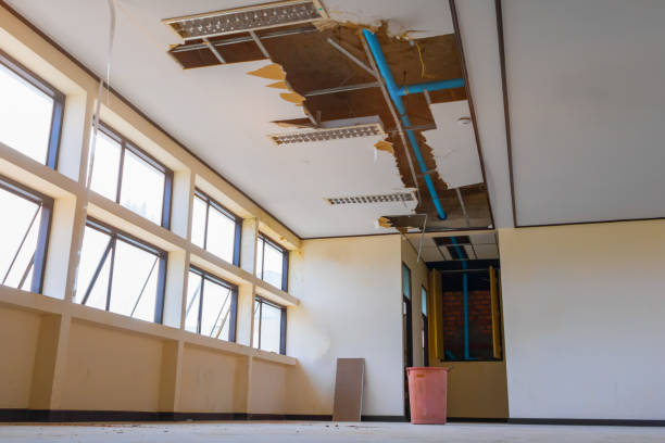 Best Water damage cleanup near me  in Vandalia, MO