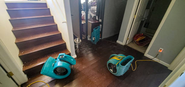 Professional Water damage restoration in MO