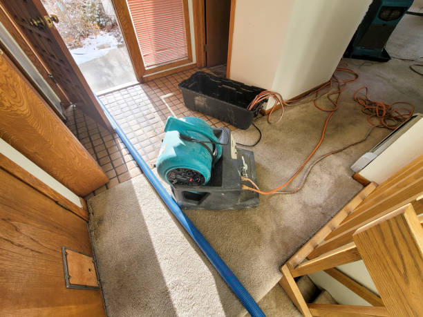 Best Basement water damage restoration  in Vandalia, MO