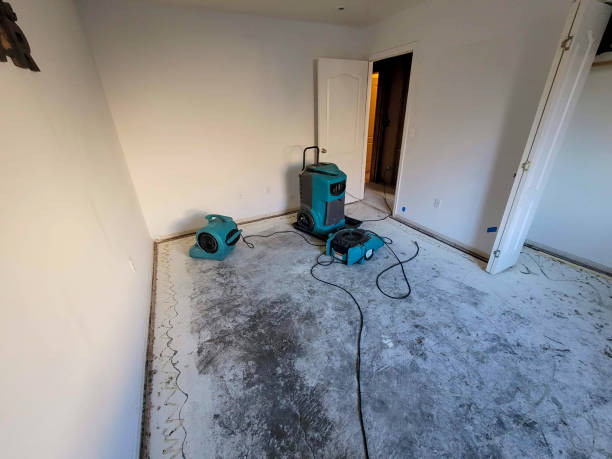 Best Carpet water damage restoration  in Vandalia, MO