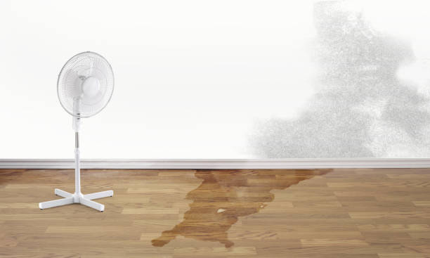Best Water damage restoration near me  in Vandalia, MO