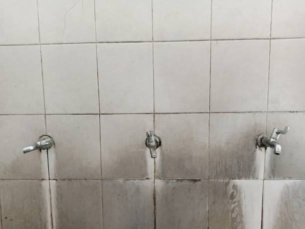 Best Water damage restoration mold remediation  in Vandalia, MO