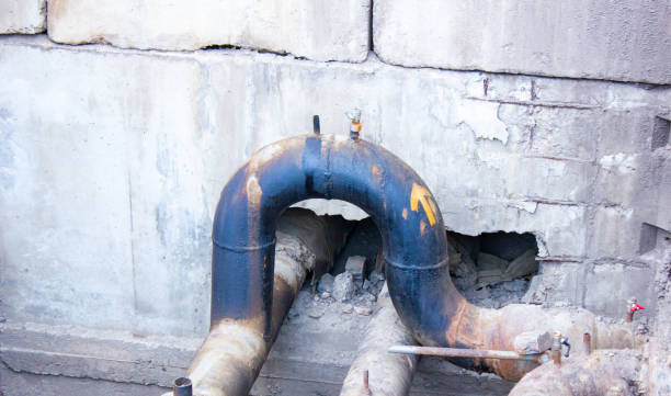 Best Flooded house restoration  in Vandalia, MO
