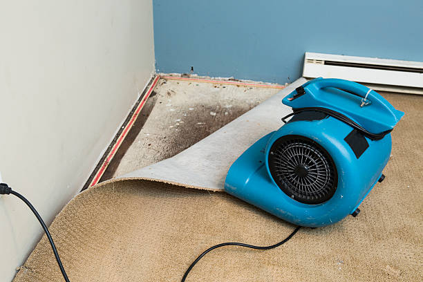 Best Emergency water damage restoration  in Vandalia, MO